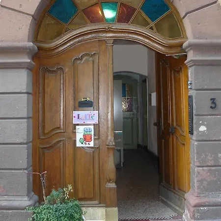 Hostel Lotte - The Backpackers Heidelberg